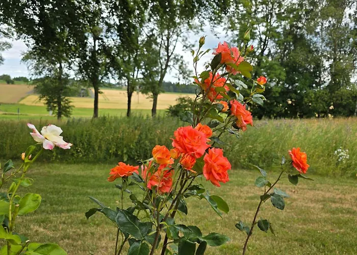 Rosenzauber Luxux-caravan 5 Sterne *